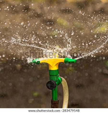 Plastic Home Gardening Irrigation Sprinkler in Operation on Cultivated Agricultural Garden