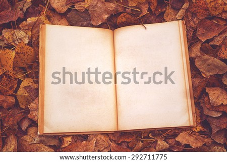 Vintage book with blank pages as copy space on fallen autumn leaves background, Top View, Retro Toned Image