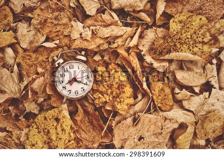 Vintage alarm clock in dry autumn leaves, Passing of time and season change concept. Selective focus, Top View
