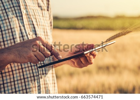 Smart farming, using modern technologies in agriculture. Male agronomist farmer with digital tablet computer in wheat field using apps and internet in agricultural production, selective focus