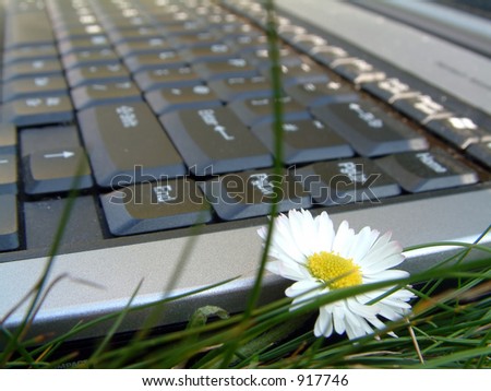 keyboard with flower