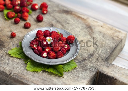 Alpine strawberries