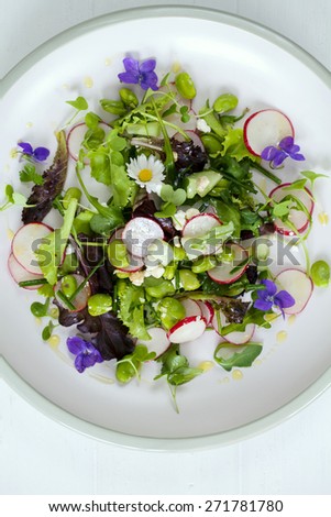 Spring salad with radish, broad beans and violets