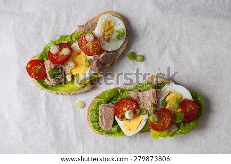 Open sandwiches with salad nicoise