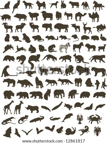 silhouettes of animals. 100 black silhouettes of