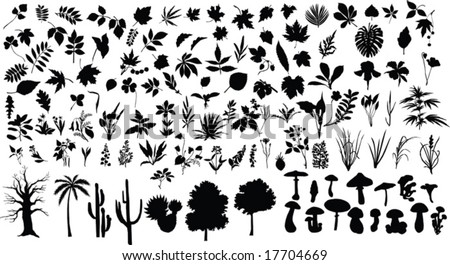 Herb Silhouette