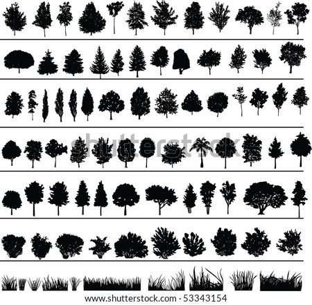 pics of trees. of trees, bushes and grass