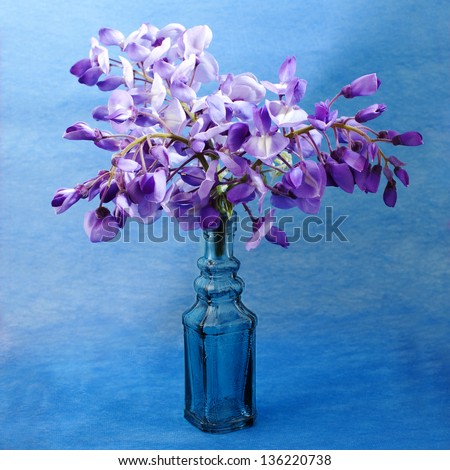 blue flowers in a vase on a blue background