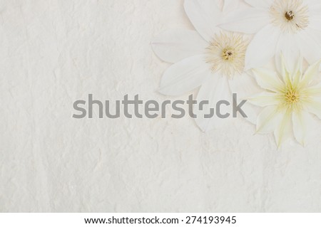 flowers of clematis on a white paper, background
