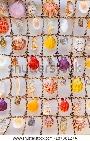 Shells on a net decoration. Greece.