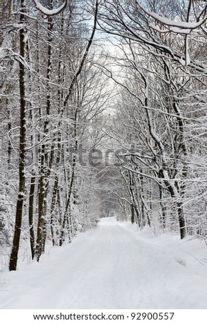 Winter park road