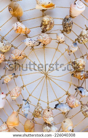 Shells on a net decoration. Greece.
