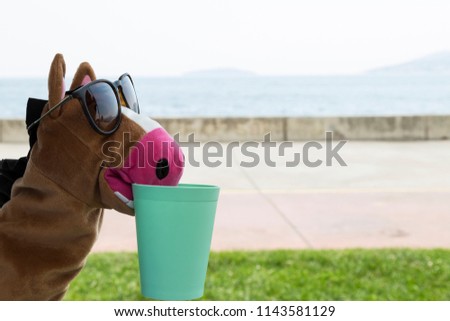 play with funny donkey puppet wearing glasses in the beach for preschool or nursery concept.Education activity time for children.