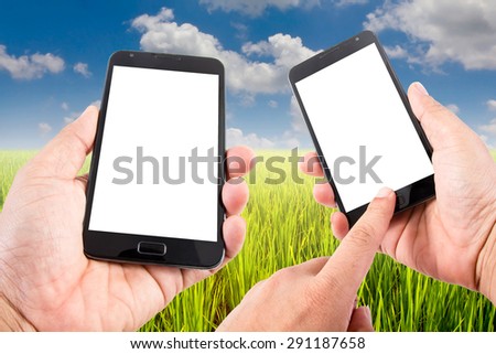 Man hand hold blank touch screen smart phone on green rice field and blue sky.