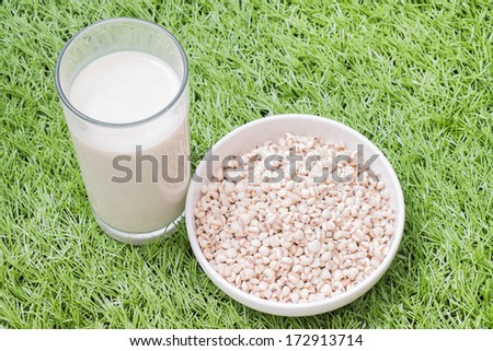 Job\'s tear in white ware and a glass of job\'s tear milk on grass