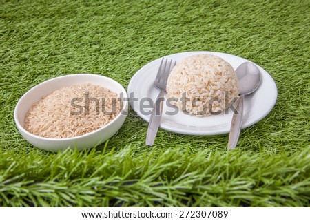 raw jasmine brown rice in white bowl and cooked jasmine brown rice on white plate with spoon and fork on the side, on green grass