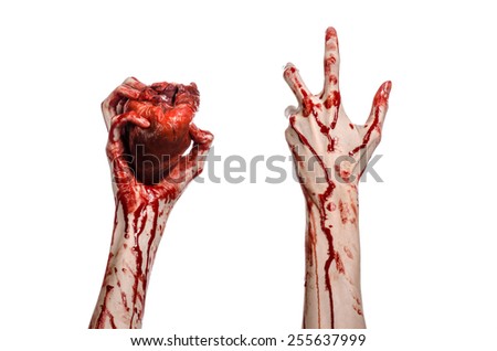 Blood and Halloween theme: terrible bloody hand hold torn bleeding human heart isolated on white background in studio