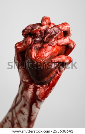 Blood and Halloween theme: terrible bloody hand hold torn bleeding human heart isolated on a gray background in studio