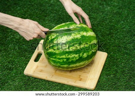 Summer and fresh watermelon topic: human hand with a knife beginning to cut a watermelon on the grass on a cutting board