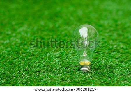 Light bulb lying on green grass