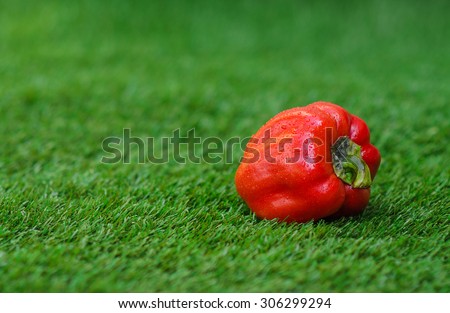 Healthy vegetable food theme: red ripe peppers lying on green grass