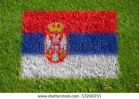 flag of serbia on grass with spray