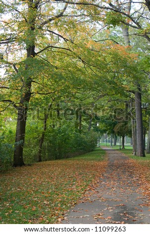 Bike path or park path for pedestrians in very early autumn just as leaves are beginning to fall.