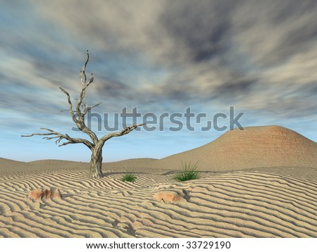 Dead tree on sand terrain with approaching storm clouds.