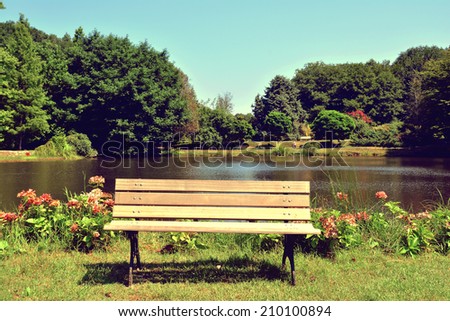 vintage wooden park bench at a forest