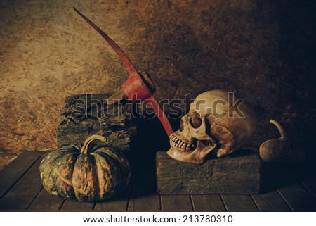 Still Life Skull and pumpkin on the timber. A symbol of Halloween