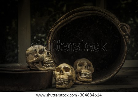 Photography  with the skull of a human skull on a table and an old rust bucket is forgotten.