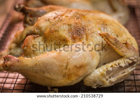 A roast chicken cools on a rack after coming out of the oven.