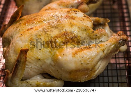 A roast chicken cools on a rack after coming out of the oven.