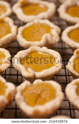 Mini or bite-sized pumpkin pies lined up on a counter top.