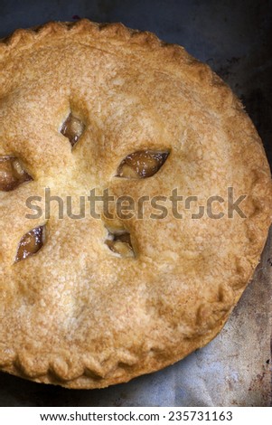 A rustic, handmade apple pie ready to searve.