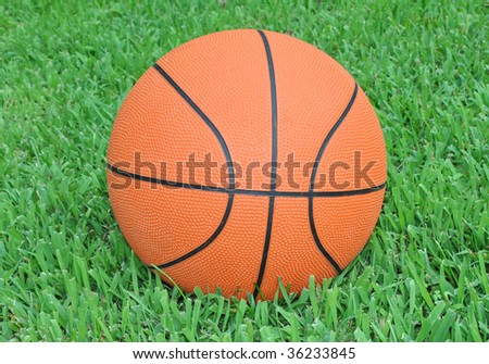 Basketball on green grass