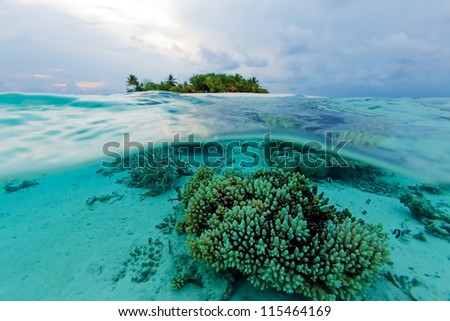Semi Underwater Scene of tropical Island and Reef with small fishes, Maldives