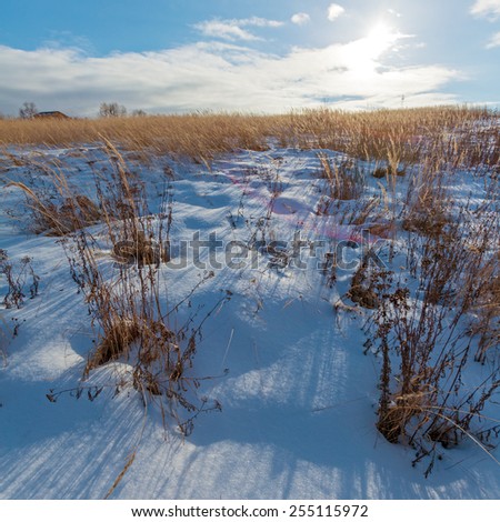 Snow Covered Field and Sun at Winter