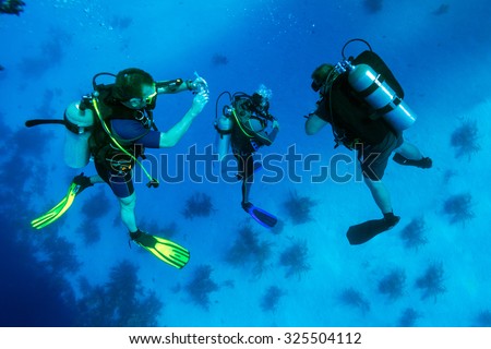 Group of divers on 5-min safety stop, Cuba