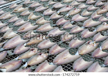 Row of Salt Fish Dry Under The Sun