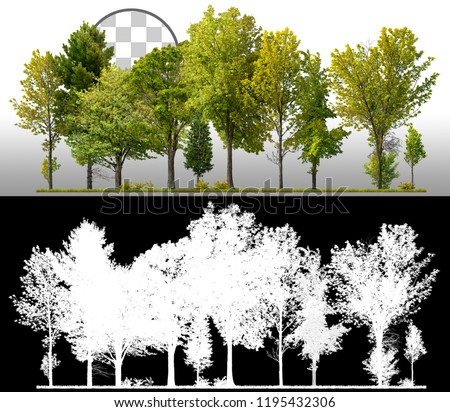 Row of green trees and pines isolated on transparent background via an alpha channel of great precision. Very high quality mask without unwanted edge. High resolution for professional composition.