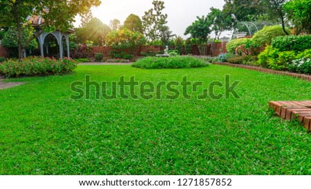 Beautiful English cottage garden, colorful flowering plant on smooth green grass lawn and group of evergreen trees in good care maintenance landscaping of a public park under sky and sunshine morning