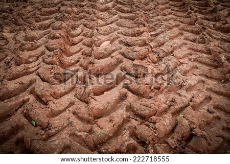 Mud Road through rubber plantation after rain/Background texture