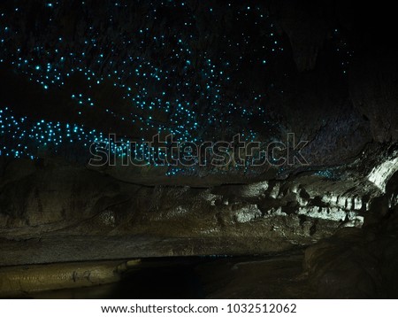 Illuminated Glow Worm Sky in Dark Cave, Waipu Caves, North Island, New Zealand, Like Waitomo Caves