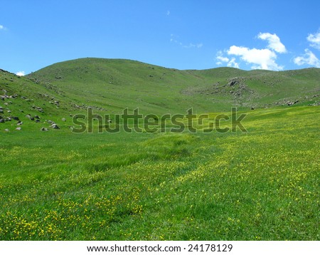 spring in mountains ,aragats mountain,armenia