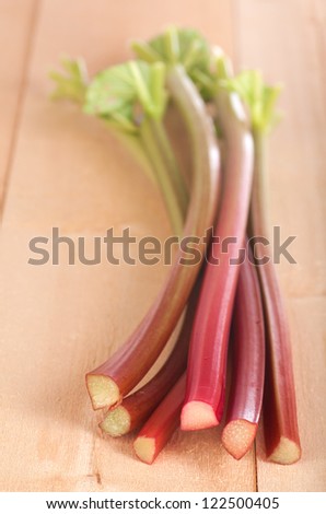 Close Up of  Red and Green Rhubarb Stalks Freshly Picked from a Farm Country Garden for Baking a Pie, Crisp, Cobbler, Cake, or Jelly in Vertical Orientation
