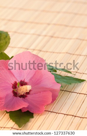 Closeup Vertical of a Bright Pink Rose of Sharon Flower on Bamboo Mat with Copy Space.