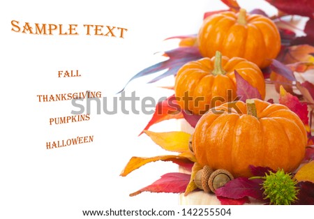 Bright and Colorful Thanksgiving or Halloween, Fall Mini Pumpkins in a Line or Row with Fall Leaves, all Isolated on White Background with Room for your Words, Text, or Background, horizontal.