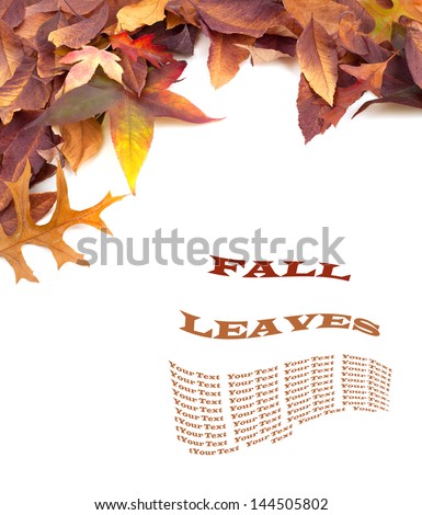 Fall Leaves on White Background with copyspace or room or space for your text or words, Horizontal