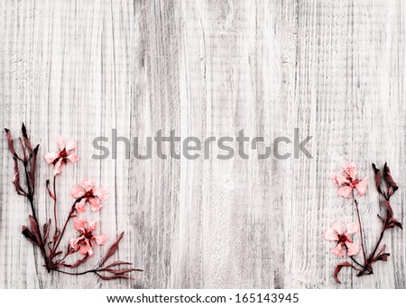 Pretty Dried Rock Rose Flowers on Rustic White Wood Background with room or space for text, copy, or words in the center area.  Horizontal with infrared treatment